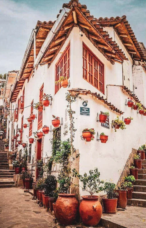 Calle-7-Borreguitos-vista-baja-1000x1024