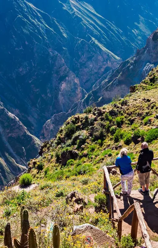 Cañon del Colca
