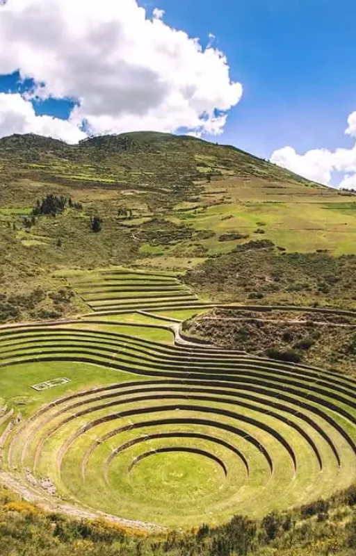 WhatsApp Image 2018-10-22 at 12.36.00 (1)