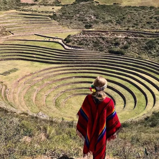 WhatsApp Image 2018-10-22 at 12.36.10 (1)