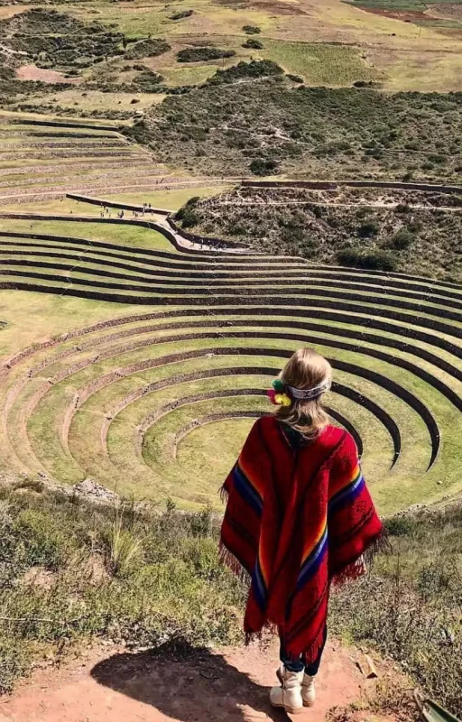 WhatsApp Image 2018-10-22 at 12.36.10 (1)