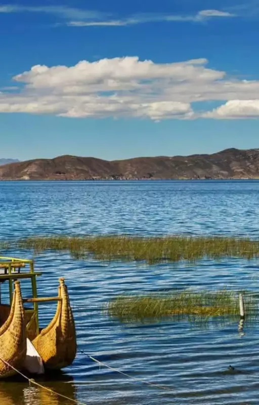 WhatsApp Image 2018-10-22 at 12.36.44 (2)