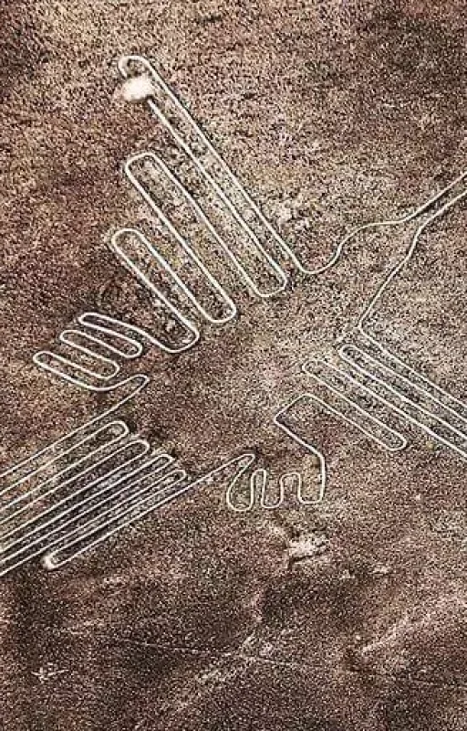 WhatsApp Image 2018-10-22 at 12.38.11 (2)