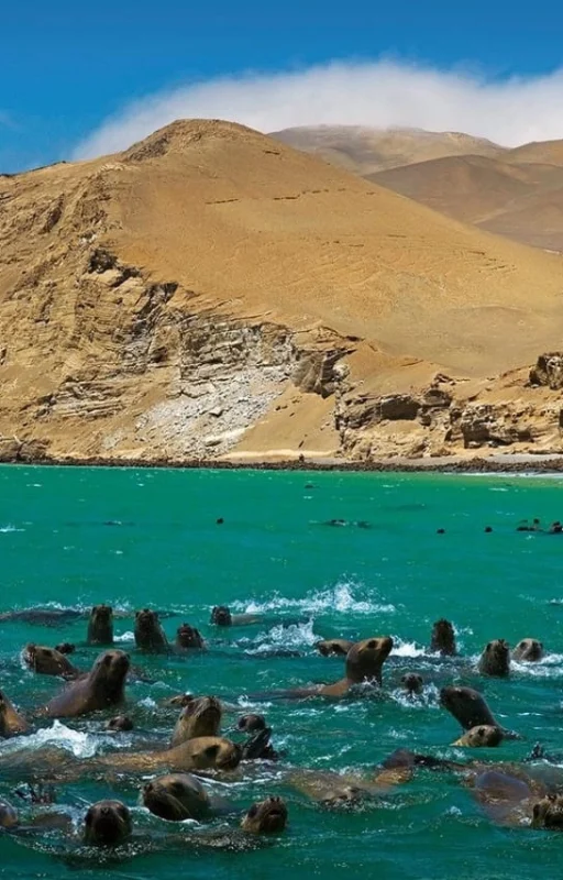 WhatsApp Image 2018-10-23 at 15.28.58 (1)