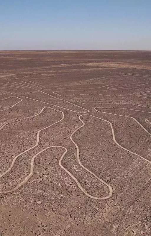 WhatsApp Image 2018-10-29 at 17.29.42