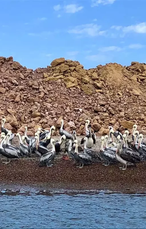 WhatsApp Image 2018-11-16 at 18.02.59 (2)