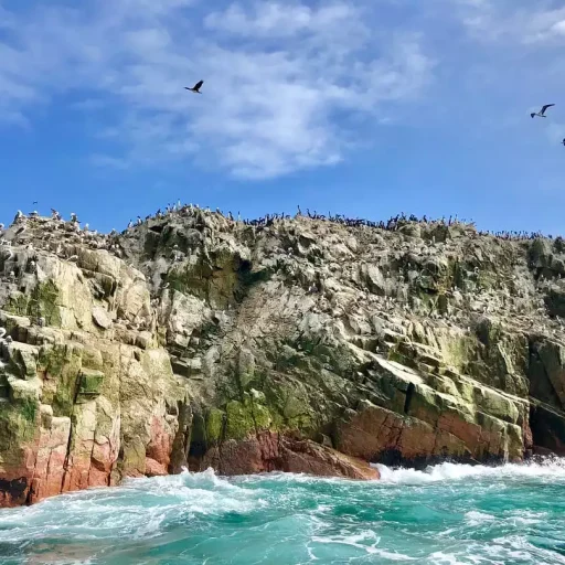 WhatsApp Image 2018-11-16 at 18.02.59