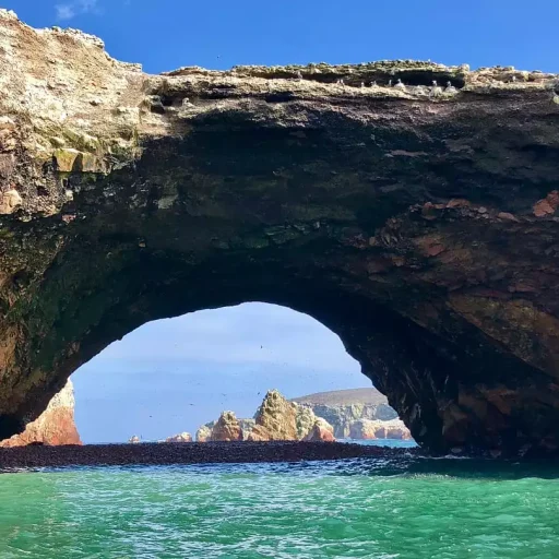 WhatsApp Image 2018-11-16 at 18.03.00 (2)