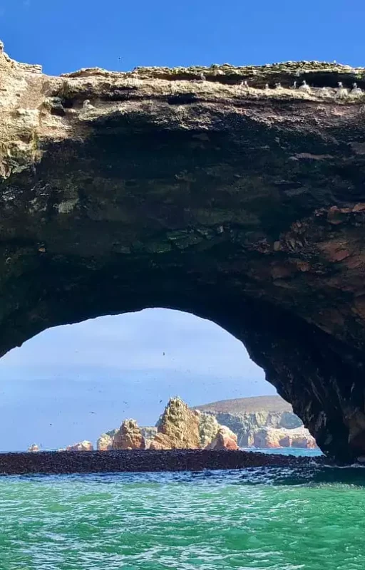 WhatsApp Image 2018-11-16 at 18.03.00 (2)