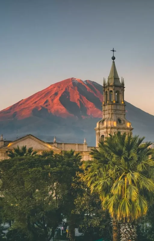 WhatsApp Image 2018-11-20 at 22.12.21