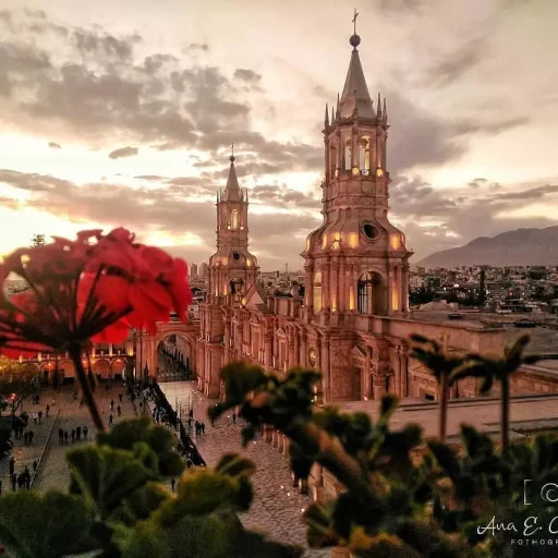 WhatsApp Image 2018-12-13 at 21.08.02