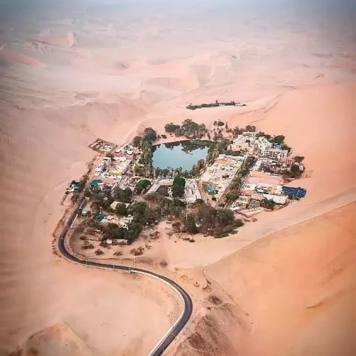 WhatsApp Image 2019-03-20 at 20.43.52 (1)