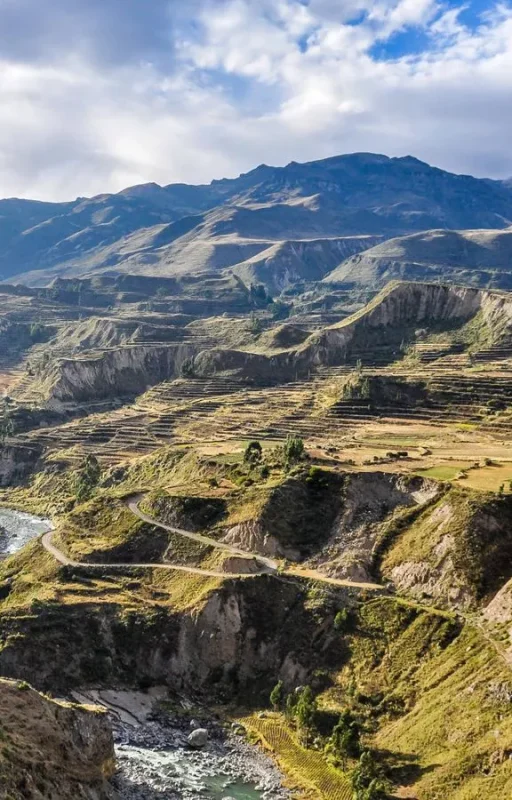 f.elconfidencial.com_original_ac8_4f6_53f_ac84f653f085bd69048673c082837a29