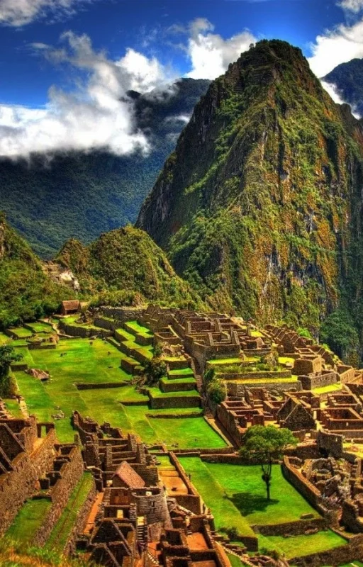 fe7d234edc24929f46d196c915d778f7