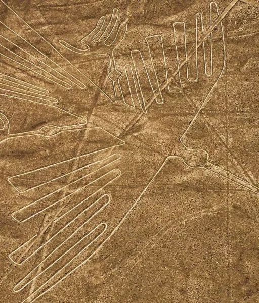 linea-de-nasca 1