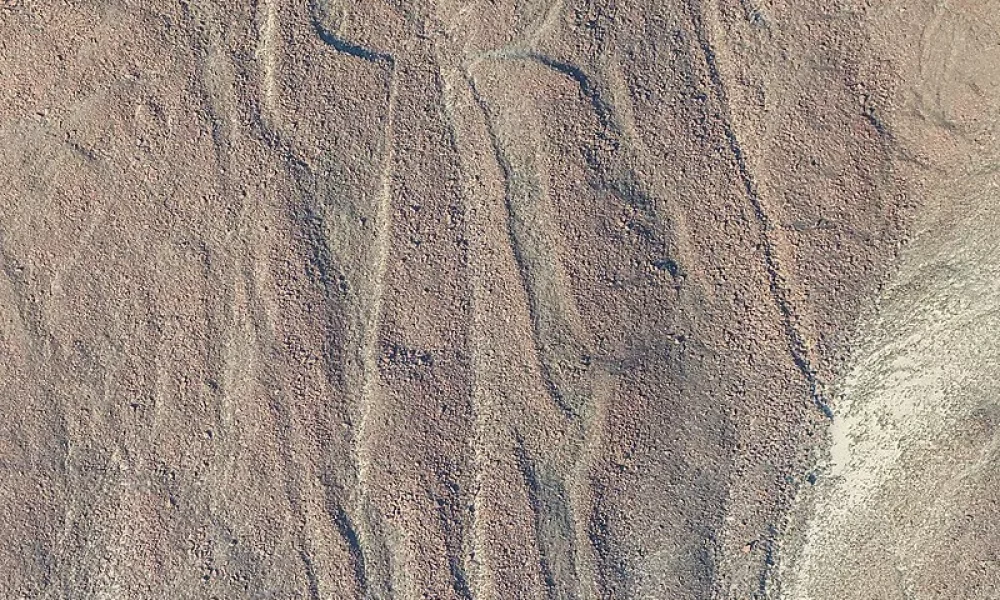 nazca3