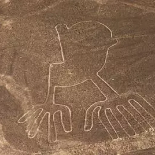 nazca6