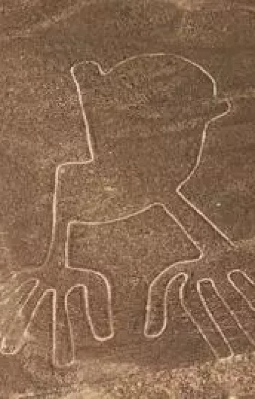 nazca6