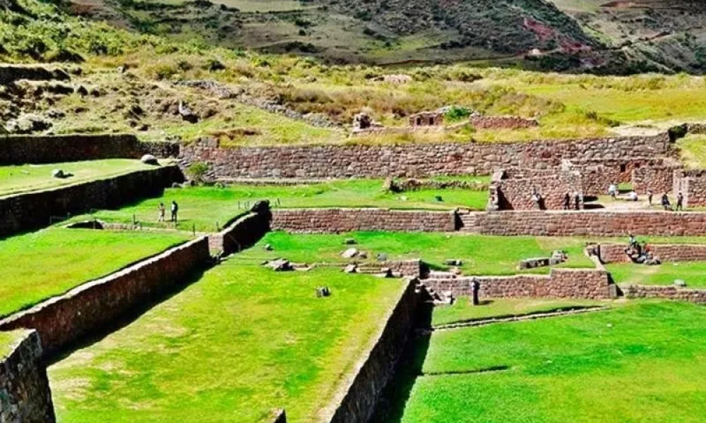 optimized_tipon-cusco