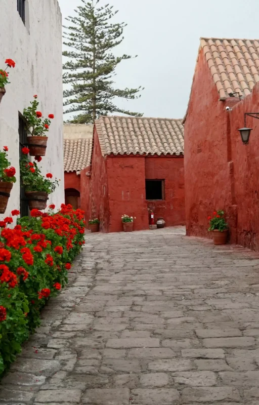 pexels-curatedpassagetravel-7473164