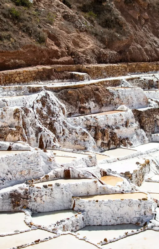 pexels-marco-luigy-294958724-17848634