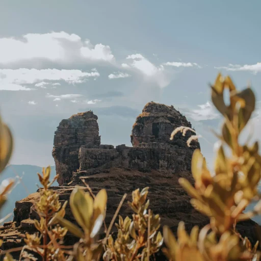 pexels-rodrigoarrosquipa-15022895