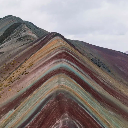 pexels-susan-flores-232226967-33633021