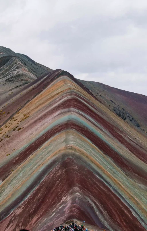 pexels-susan-flores-232226967-33633021