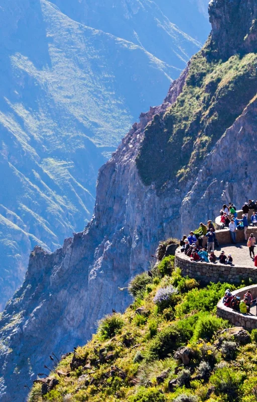 shutterstock_439732774